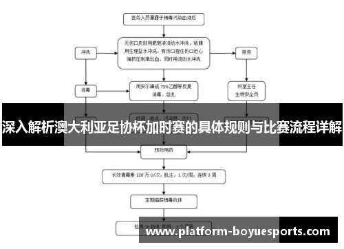 深入解析澳大利亚足协杯加时赛的具体规则与比赛流程详解 深入解析澳大利亚足协杯加时赛的具体规则与比赛流程详解